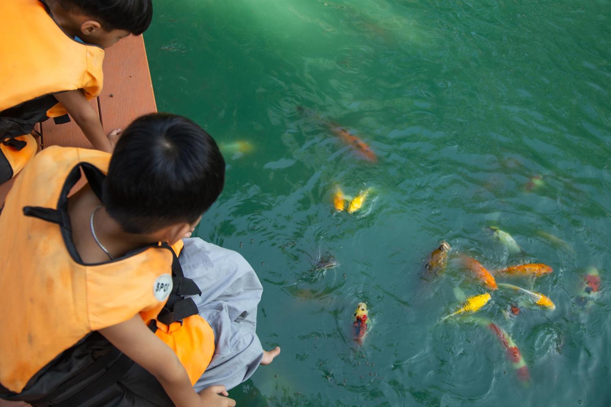 วังภูไพร ฟาร์มสเตย์ Wang Nam Khiao Dış mekan fotoğraf
